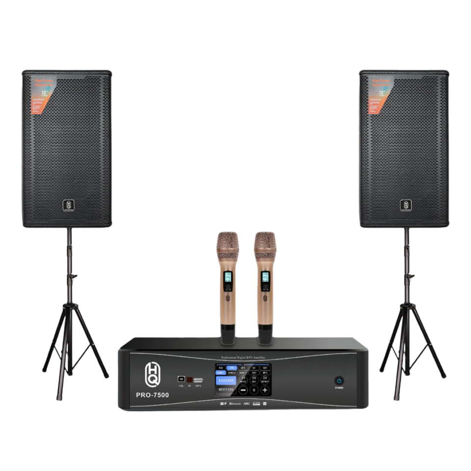 Karaoke Home Music Pro5000 & Speakers HQsing Audora