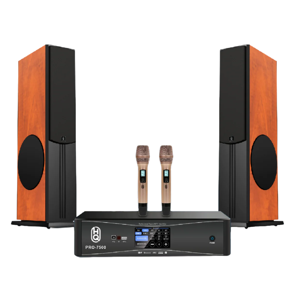 Karaoke Home Music Pro5000 & Speakers HQsing Audora