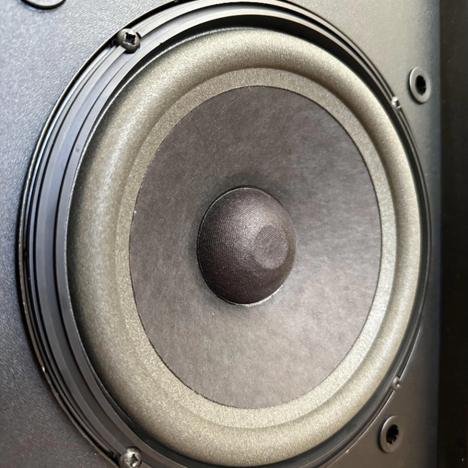 Speakers BOSE 301 SERIES III