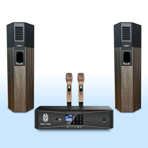 Bose 701 Series I x2 Speakers All-in-One Premium 504