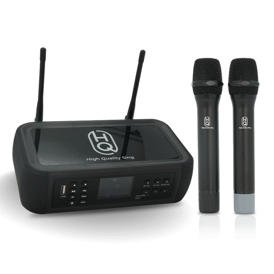 Microphone HQsing DSP124B
